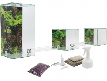 ANTCUBE - Starter Set für Blattschneiderarten - groß